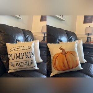 Pumpkin Patch Decorative Pillow covers.